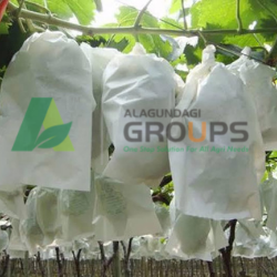 Alagundagi Groups Fruit Cover