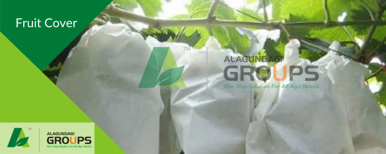 Alagundagi Groups  Fruit Cover