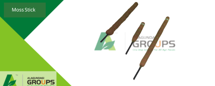 Alagundagi Groups Garden Tool Moss Stick